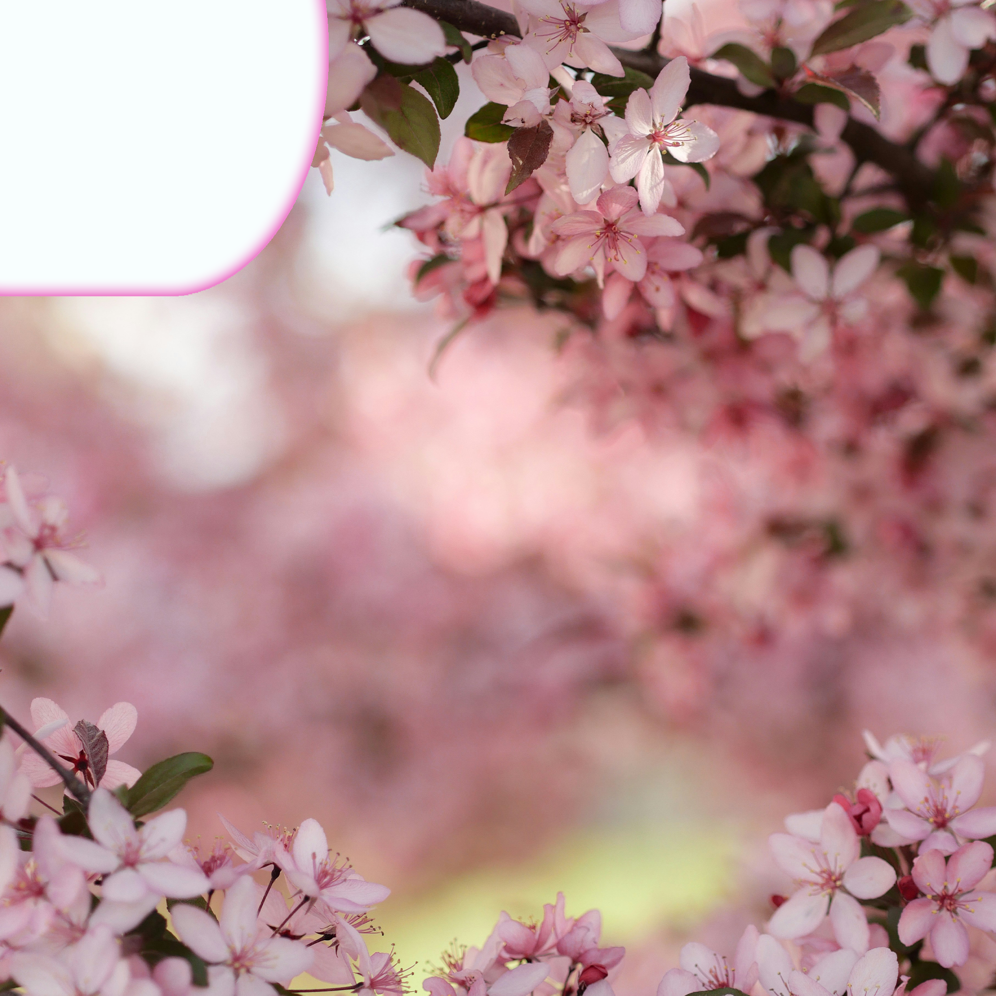 Background 13
