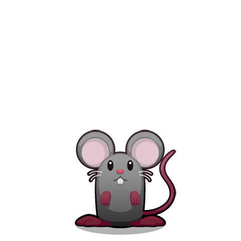 Pet 19
