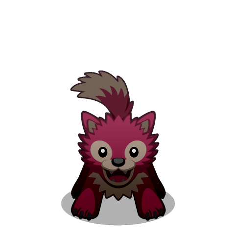 Pet 6